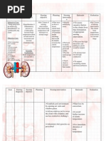 Download NCP for Pyelonephritis by Hanna Mariel Tecson Celispara SN45315231 doc pdf