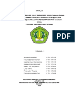 Kelompok 4-Formula Saluran Cerna 1