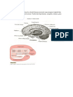 Fisiologi Sistem Limbik PDF