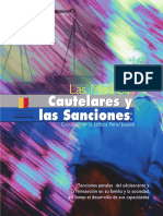 LAS MEDIDAS CAUTELARES Y LAS SANCIONES - OBRA COLECTIVA.pdf
