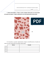 Ficha 6º Ano Sangue