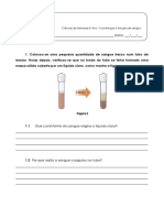 Ficha 6º Ano Sangue1 PDF