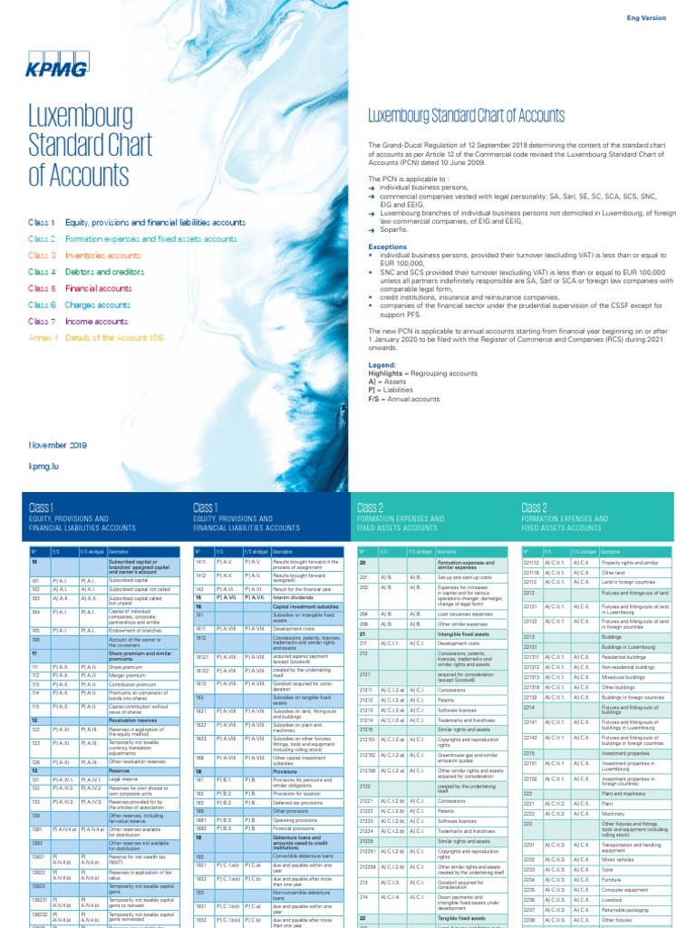 Luxembourg Standard Chart of Accounts  PDF  Equity (Finance 