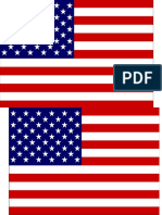 flag.docx