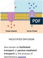 Facilitated Diffusion