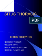 Situs Thoracis