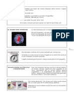 Magnetisme PDF