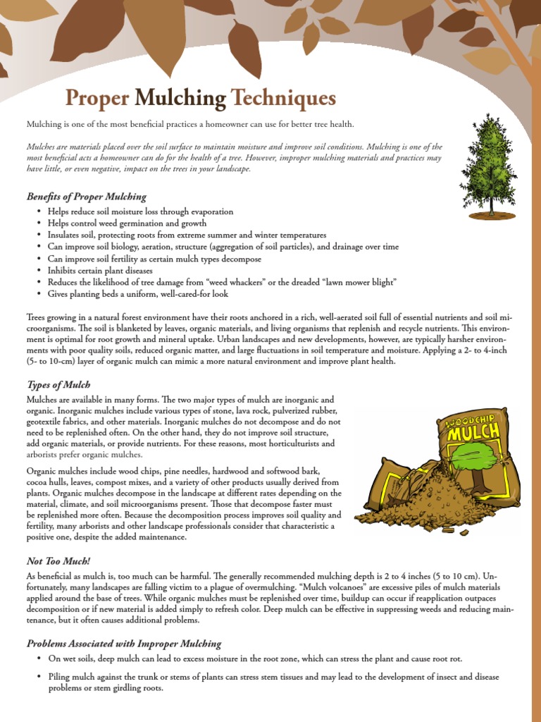 ProperMulching PDF PDF Mulch