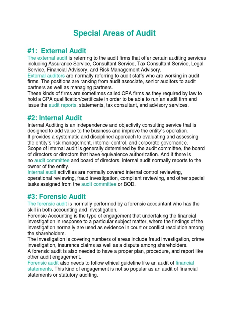 Overview of Special Audit Areas | PDF | Financial Audit | Internal Audit