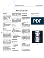 Elaboracion Emodelos PDF