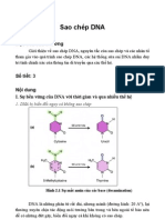 c2-SAO CHEP ADN