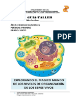 MODULO CIENCIAS FISICA 6.pdf