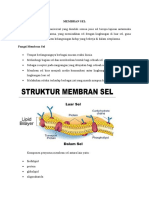 Membran Sel