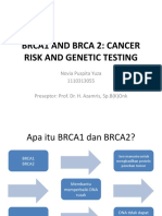 Brca1 and Brca 2