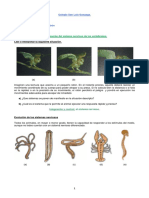Sistema Nervioso - 1 PDF