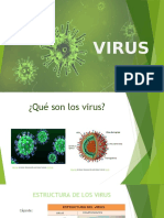 Exposicion de Los Virus