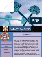Presentasi Biologi Ascomycotina