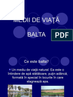 balta