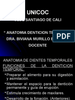 Anatomia Dientes Temporales