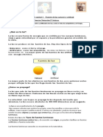 Material de Apoyo 3° Básico La Luz 2020