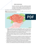 CÓMO PLANTAR ROSAS.pdf