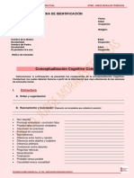 Formato Formulacion Cognitivo Conductual y Plan de Tratamiento PDF