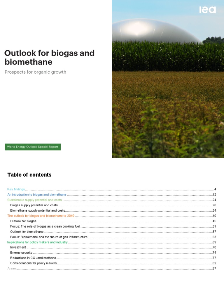 Outlook For Biogas and Biomethane | PDF | Biogas | Low Carbon Economy