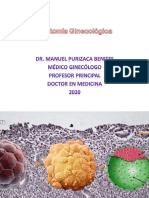 ANATOMIA GINECOLOGICA 2020