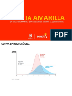 Presentacion Coronavirus Covid 19