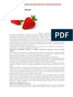 cultivarecapsun-121120085826-phpapp01.pdf