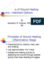 Principles of Wound Healing and Treatment Options