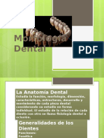 Morfología Dental