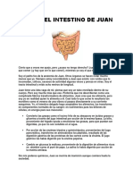 el intestino-de Juan.pdf