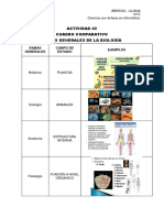 Cuadro Comparativo