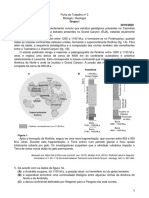 Ficha Trabalho n3 Geologia 10 Ano PDF