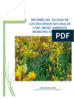 Informe Ambiental PDF