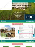 Biomimetica Terrestres - Contaminación Agricola PDF