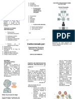 TRIPTICO Psicosocial