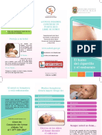 El Humo Del Cigarrillo y El Embarazo PDF