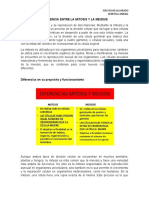 Diferencias entre mitosis y meiosis