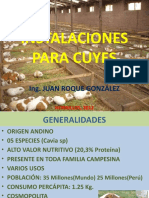 Instalaciones para cuyes: pozas vs jaulas