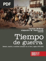 Tiempo de Guerra. Estado Nacion y Conflicto