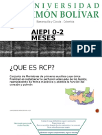 RCP + SX Asfixia Perinatal + SALM + SX Dificultad Respiratoria + HP