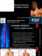 Anatomía Clase 2 Region Dorsal