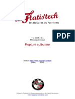 11-Rupture culbuteur.pdf