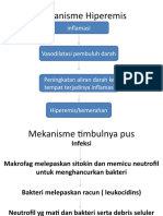 Mekanisme Hiperemis dan Pembentukan Pus