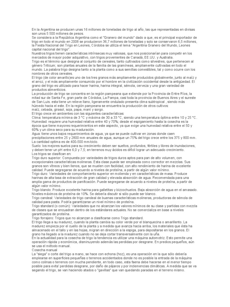 Circuito Productivo Del Trigo | PDF | Trigo | Panes