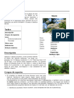 Sambucus.pdf