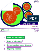 Microbes-and-Disease