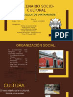 Escenario Socio-Cultural